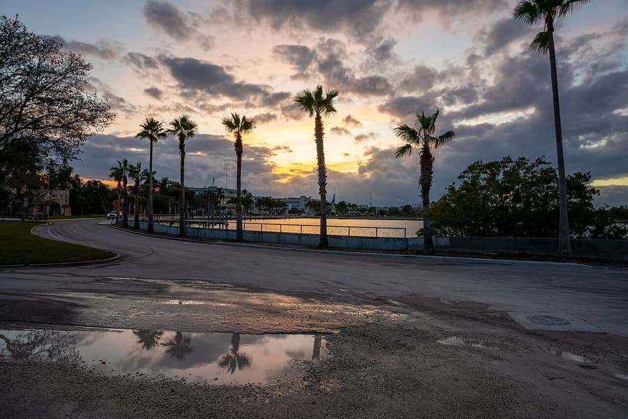 Palm trees beside the Manatee River at sunset in Bradenton